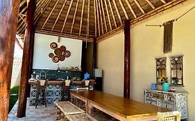 Iguana House